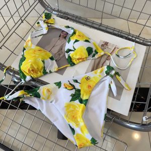 import placeholder for v00000877