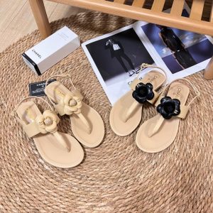 import placeholder for v00001431