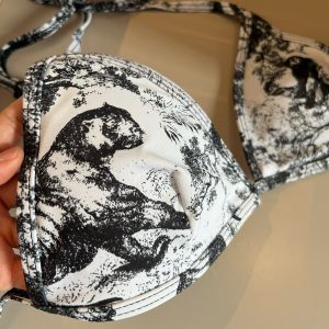 import placeholder for v00000858